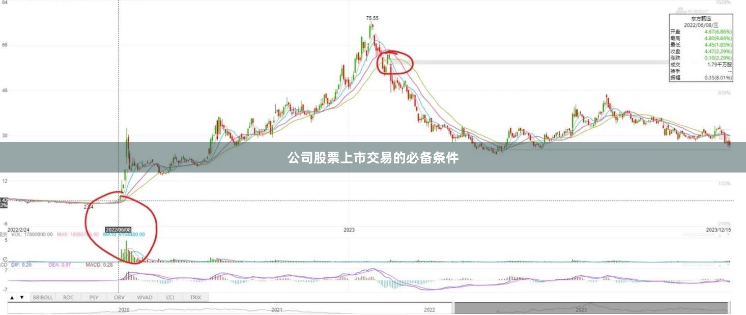 公司股票上市交易的必备条件