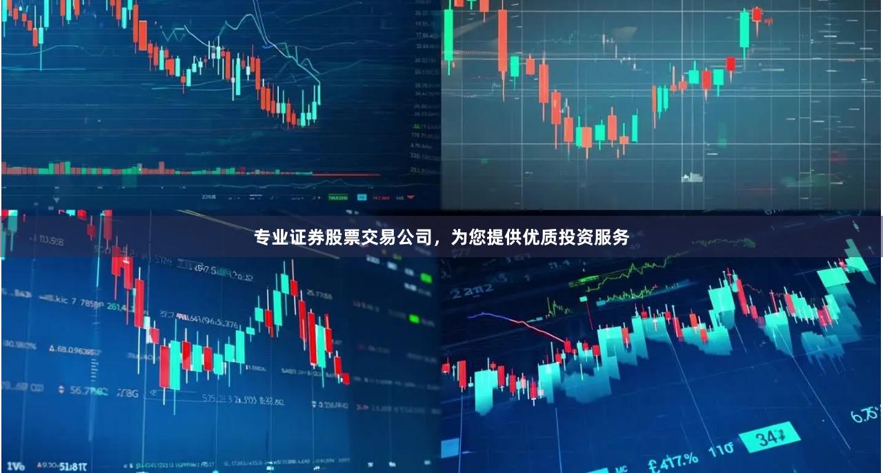 专业证券股票交易公司，为您提供优质投资服务