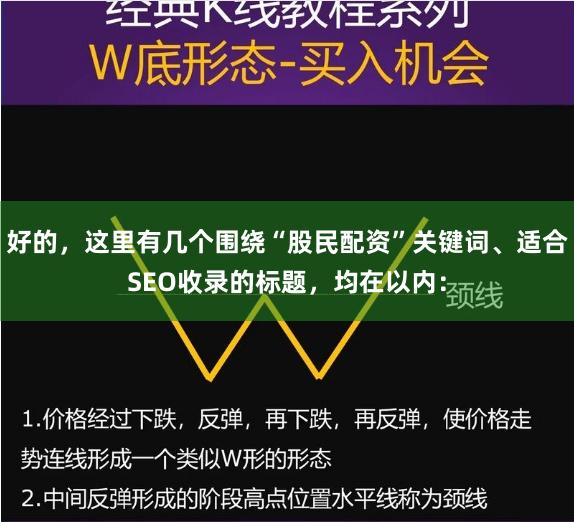 好的，这里有几个围绕“股民配资”关键词、适合SEO收录的标题，均在以内：